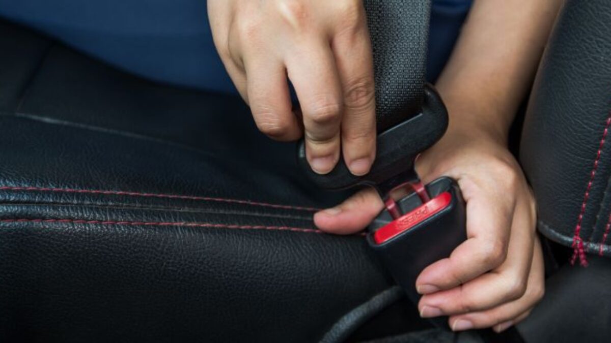 California Seat Belt Laws 2024 What You Need To Know