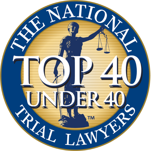 national trial lawyers logo icon