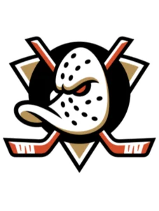 Home 4 Anaheim Ducks